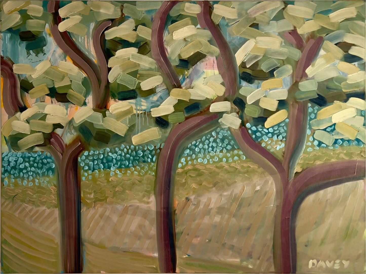 Solstice Through The Redgums - 120cm x 90cm - Original Oil Painting on Canvas